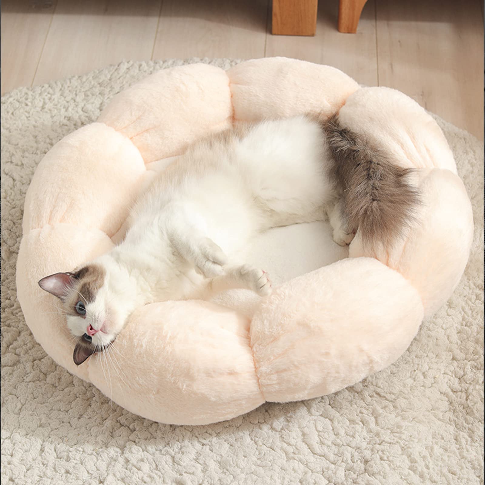 FGYZYP Flower Shaped Plush Dog Cat Bed, 22inch Winter Soft Pet Cushion Mat, Self Warming Donut Cat Bed Pad with Non-Slip Bottom Machine Washable for Sleep Warm Cat Kitten Puppy and Small Medium Dog