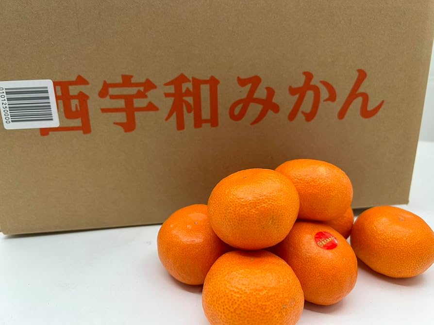 ゆページ　真穴みかん10キロSサイズ＋5キロSサイズ＋お試しみかん 楽天市場】【送料無料】【愛媛県産】秀品 真穴みかん 真穴シール