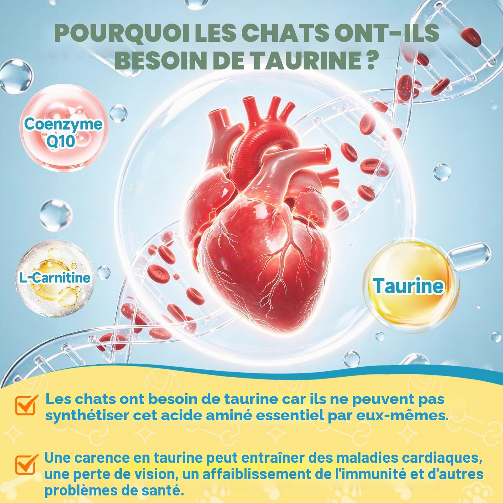 Taurine pour Chats Cardiaque Vision L'éNergie Vitalité Immunitaire 60ML | Coenzyme Q10, L-Carnitine, L-Arginine & Vitamines, Taurine Liquide Pour Chats, CompléMent Taurine Pour FéLins