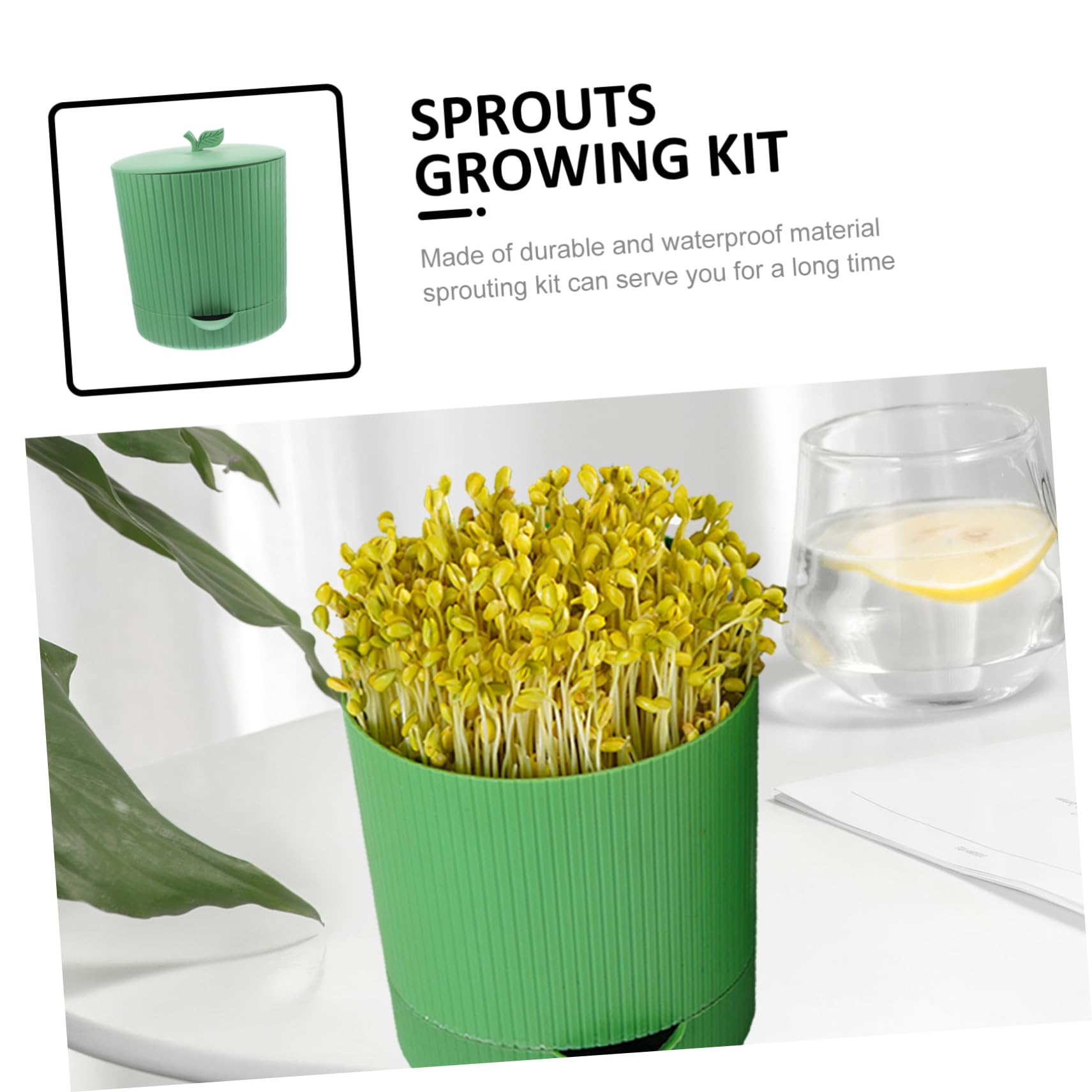 POPETPOP Kit de Germinación de Brotes de Soja 1 Juego PP Verde