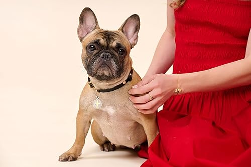 Miniatura 8 de SCAMPER & CO Regalos para el día de San Valentín para ella, anillo de plata de ley Bulldog francés para mujer, chapado en oro amarillo de 18