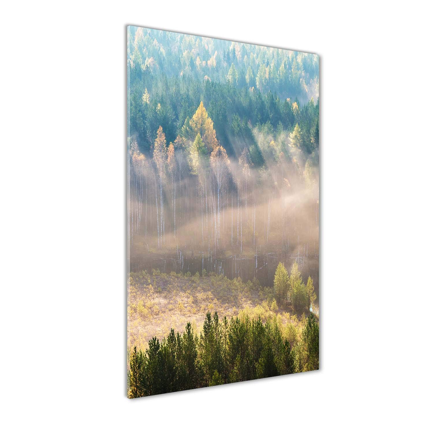 Tableau en verre 60x120 cm paysage de forêt verte dans le brouillard pour cuisine