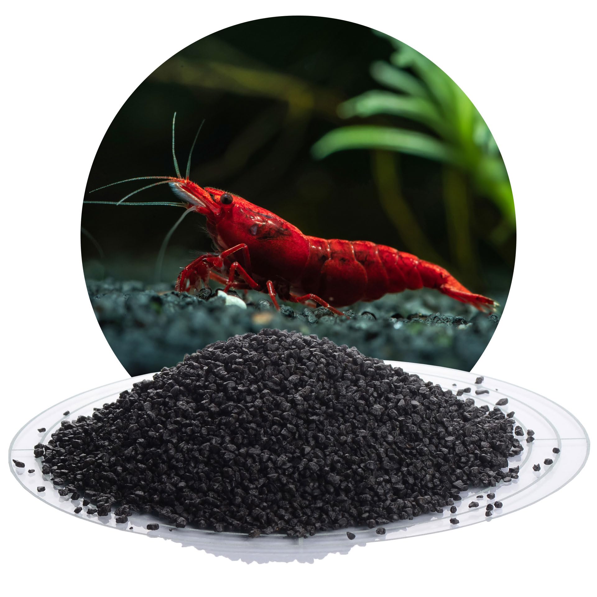 Schicker Mineral żwir akwariowy czarny, kwarcowy 2,0–3,0 mm, 25 kg, powłoka epoksydowa (deklaracja: nie uwalnia substancji), zaokrąglone ziarna, do akwariów słodkowodnych i morskich, neutralność pH