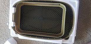 Review Image by Shine-a-Vine