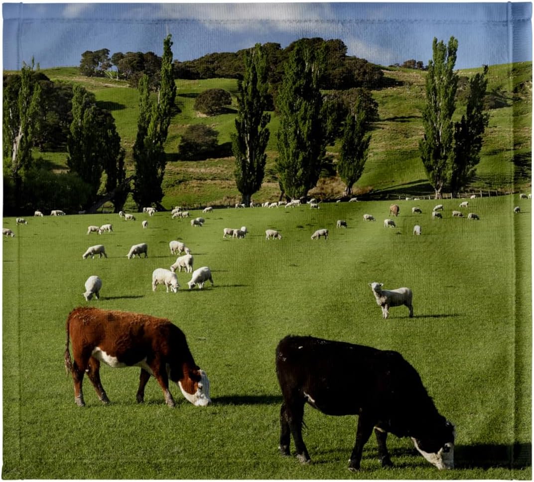 3dRose Farm Animals, Cows, Sheep, Masterton, New Zealand-AU02 DWA6395 - David Wall 22x30 Bath Hand Pool Towel