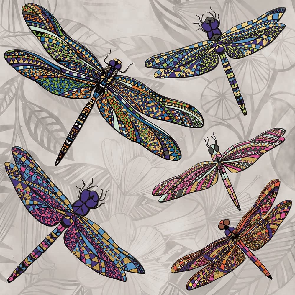 Museums & Galleries 6 Luxury Boxed Notecards with Envelopes (Matthew Williamson Dragonfly Dance) EFE033, Multicoloured, small - Image 3