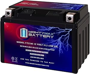 Mighty Max YTZ14S