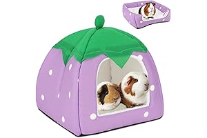 BWOGUE Strawberry Guinea Pig Bed