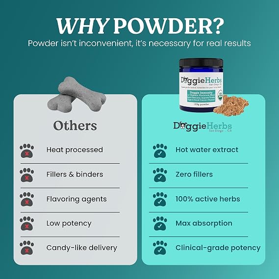 High Potency Immune Support Critical Care Formula with Turkey Tail, Reishi & TCM Mushrooms + Herbs Doctor Formulated Powder for Recovery, Vitality & Cellular Health 100g