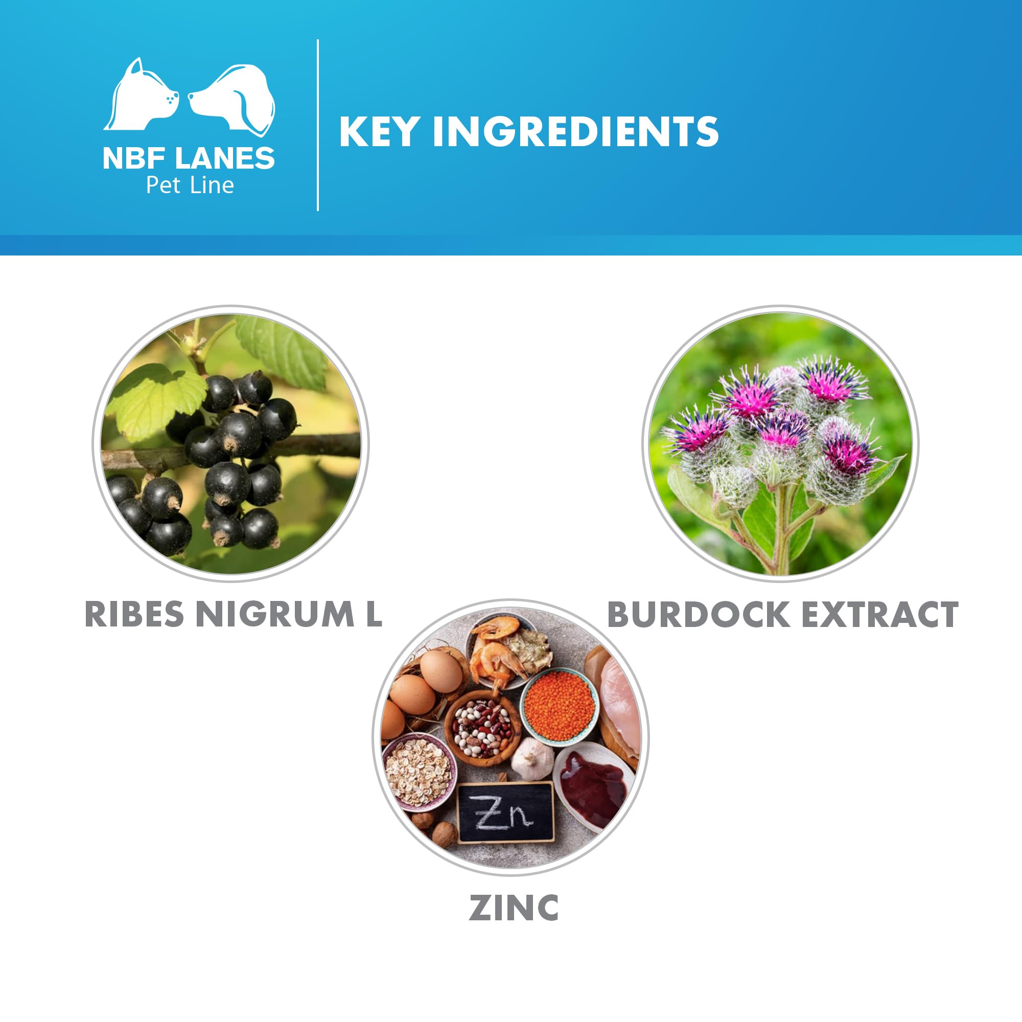 NBF Lanes | Ribes Pet Symbio Chien et Chat, 30 Bâtons de Pâtes Appétissantes 60 g, Prend en charge la Régularité normale de l'Axe Cute-Intestin