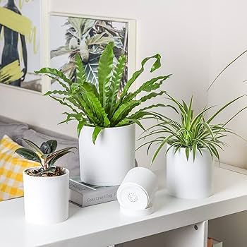 英国プラスチック植木鉢専用です 英国プラスチック植木鉢専用です