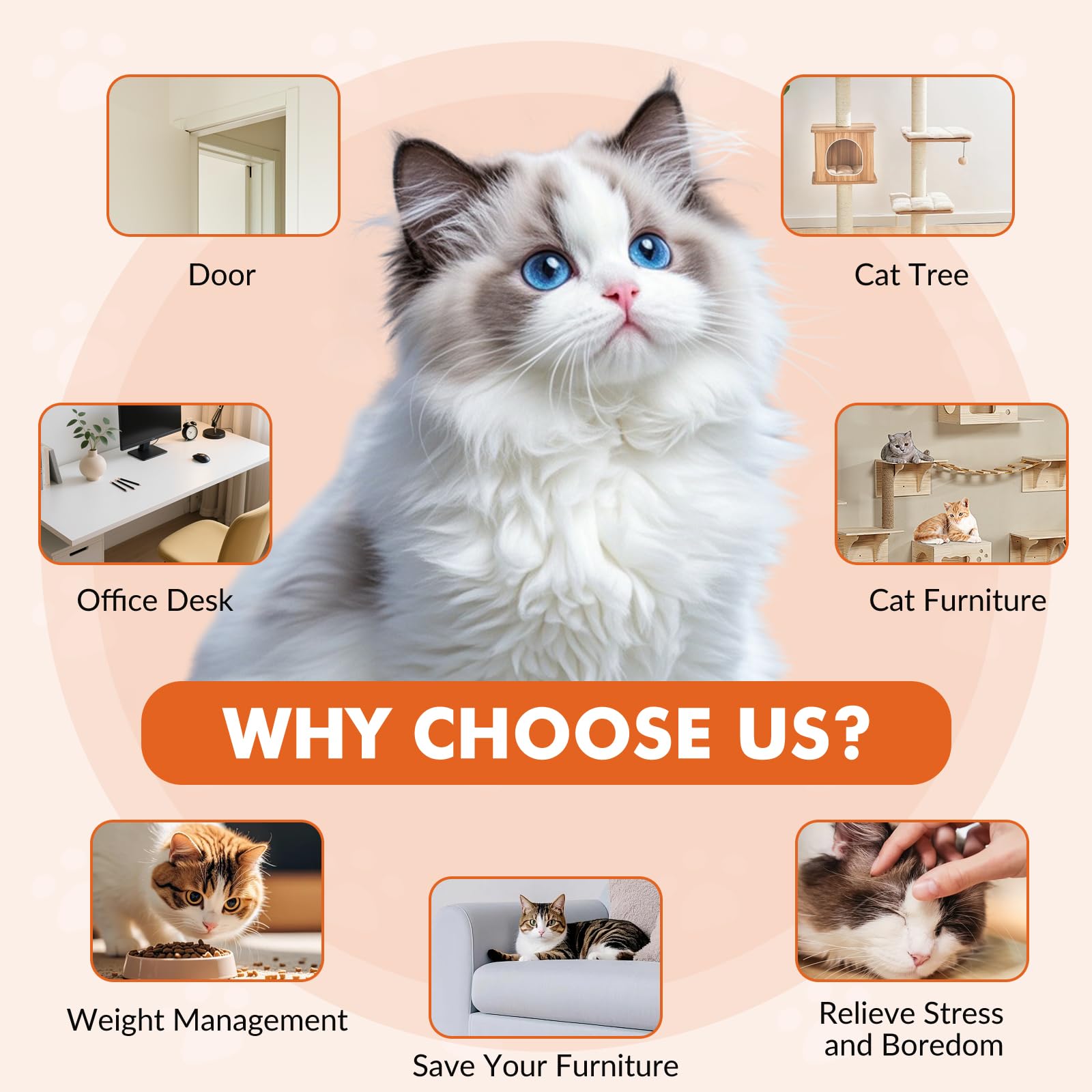 Wortade Interaktives Katzenspielzeug, wiederaufladbar, Federspielzeug für Indoor-Katze, hängendes einziehbares Teaser-Spielzeug, automatisches Kätzchen-Spieljagd, Übungsspielzeug mit drei Plüschmaus
