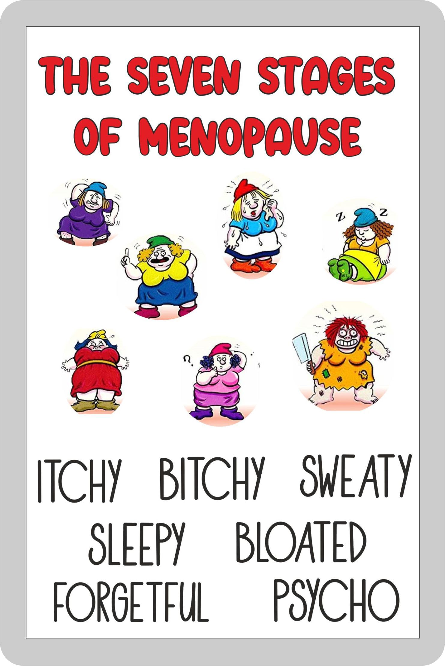 Decalarama Menopause Fridge Magnet Gift - Seven Stages - Amusing Cheeky Rude Cute Novelty Menopausal Quote Present