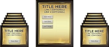Bold Gold, Employee of The Month Program PlaqueMagic DIY Perpetual Plaque Award Kit | Employee Appreciation | Employee Recognition | Best of The Best | Achievement Awards