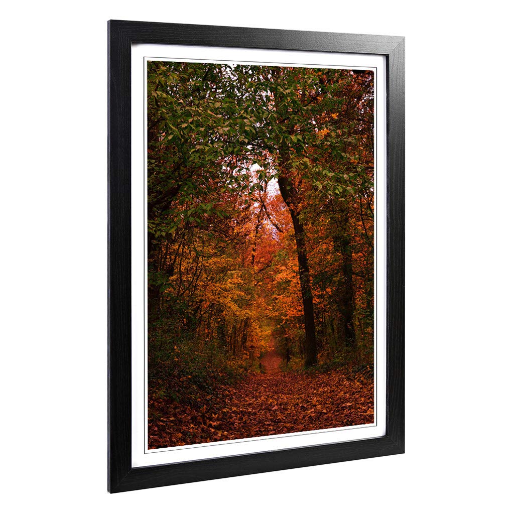 Big Box Art Framed Print of Autumn Forest Woodland Path Design | Wall Art Picture | Home Decor for Kitchen, Living, Dining Room, Bedroom, Hallway, Office, Black, A2 / 24.5x18 Inch / 62x45cm