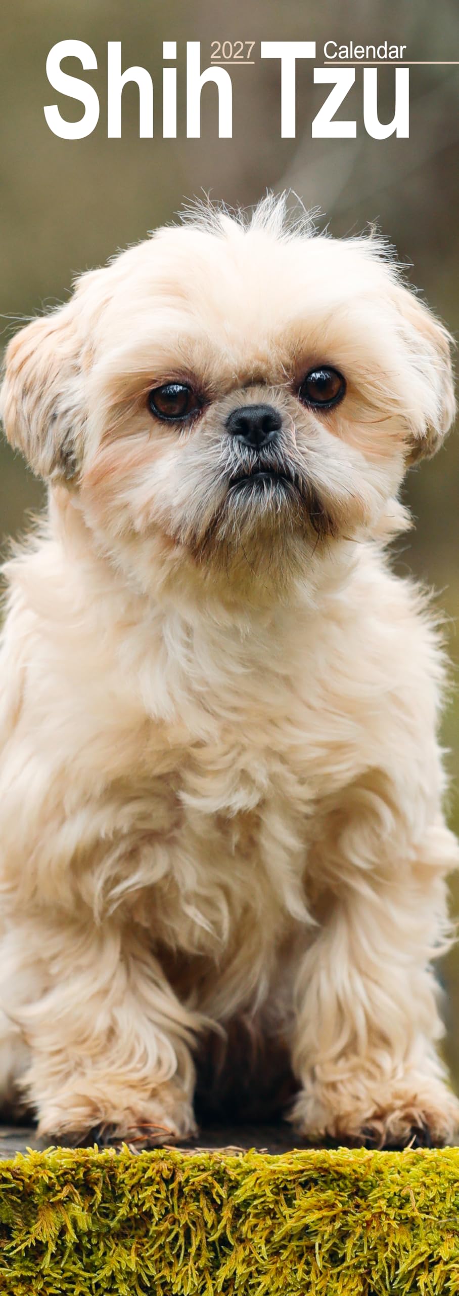 Shih Tzu Slim 2027 Calendar | Slimline Wall Calendar | Dog Breed Gift | Plastic Free Packaging | by Avonside Publishing