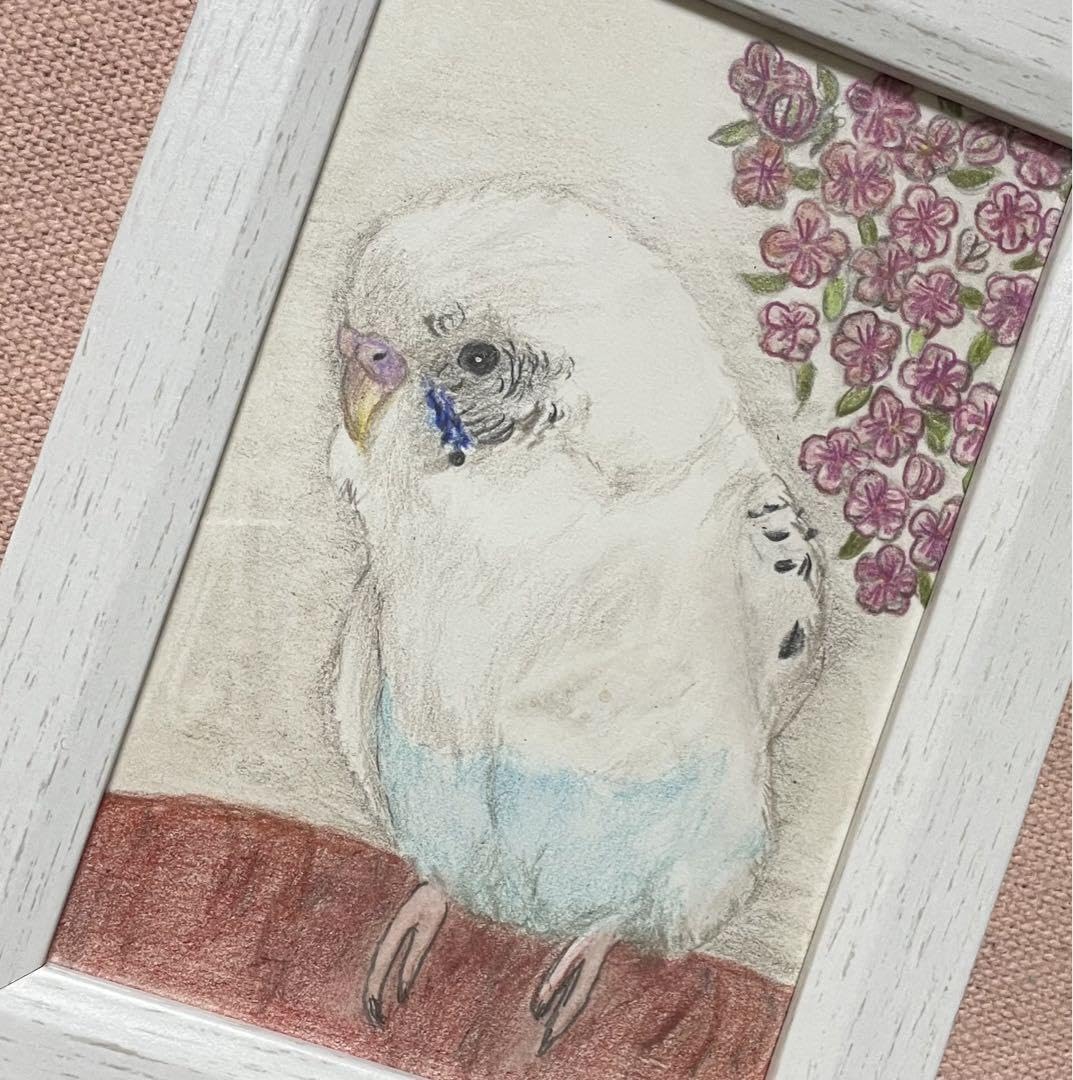 Amazon.co.jp: 色鉛筆画 リアル可愛いセキセイインコ色鉛筆画 原画