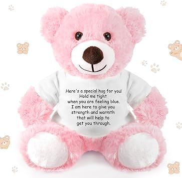 Lenwen a Bear Hug Gift Get Well Soon Sympathy for Women Plush Stuffed Animal Hug Thinking of You Condolences Memorial Loved PresentPink,Bear