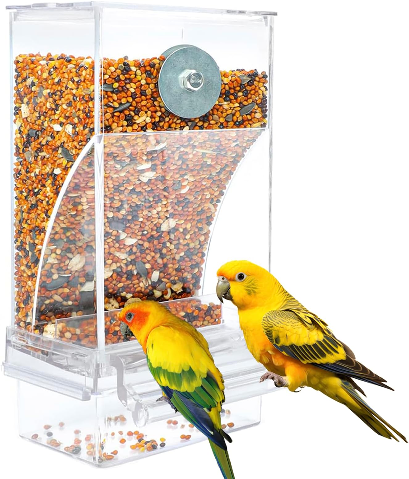 Automatic Transparent Acrylic Bird Feeder, 16 oz, for Various Birds