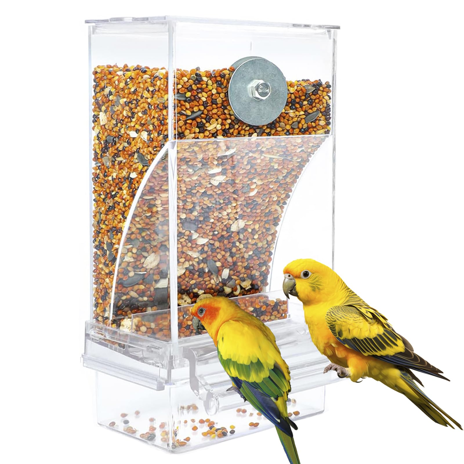 Automatic Transparent Acrylic Bird Feeder, 16 oz, for Various Birds