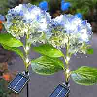 714QKd9220L._AC_SY200_QL15_.jpg
