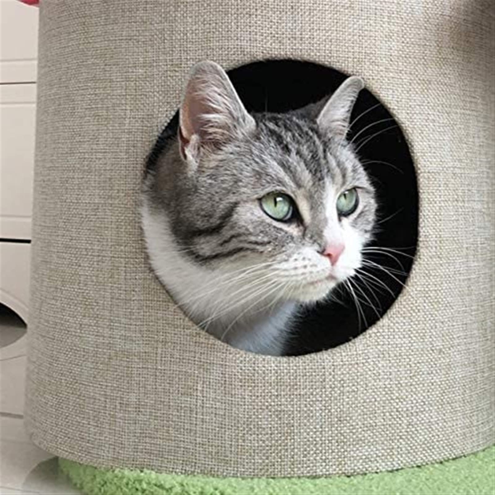 Trzypoziomowe drzewo dla kota Wieża Centrum aktywności dla kotów Drapanie kota Clim Post Indoor Małe koty Zabawa Dom Meble dla kota Drzewo W/Condo