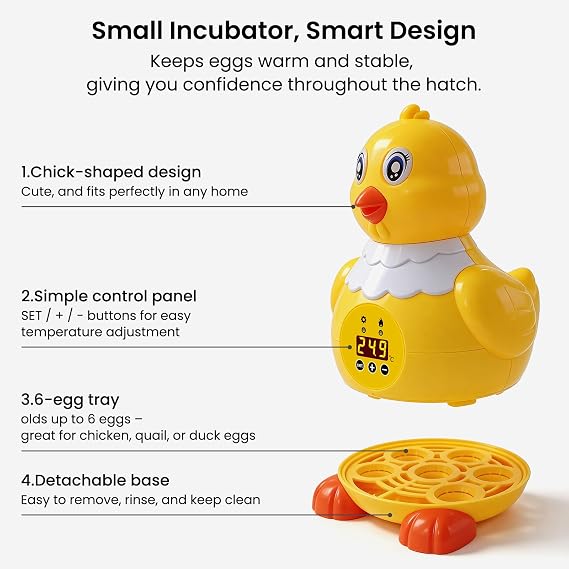 Incubator for Hatching Eggs - 6 Egg Capacity, Small Egg Incubator with Temperature Control, Air Circulation & Viewing Window, Poultry Hatcher for Duck Quail Pigeon Pheasant, Ideal for Home Lab Kids