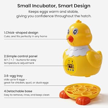 Incubator for Hatching Eggs - 6 Egg Capacity, Small Egg Incubator with Temperature Control, Air Circulation & Viewing Window, Poultry Hatcher for Duck Quail Pigeon Pheasant, Ideal for Home Lab Kids