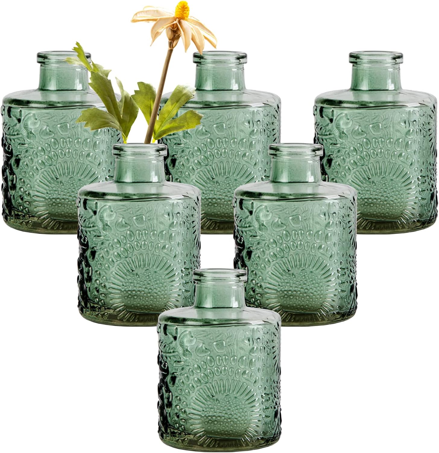 WILDMOS Glass Bud Vase Set of 6, Small Flower Vases for Decorative ...