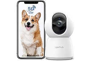Unveiling Home Security with LAXIHUB's Indoor Cam