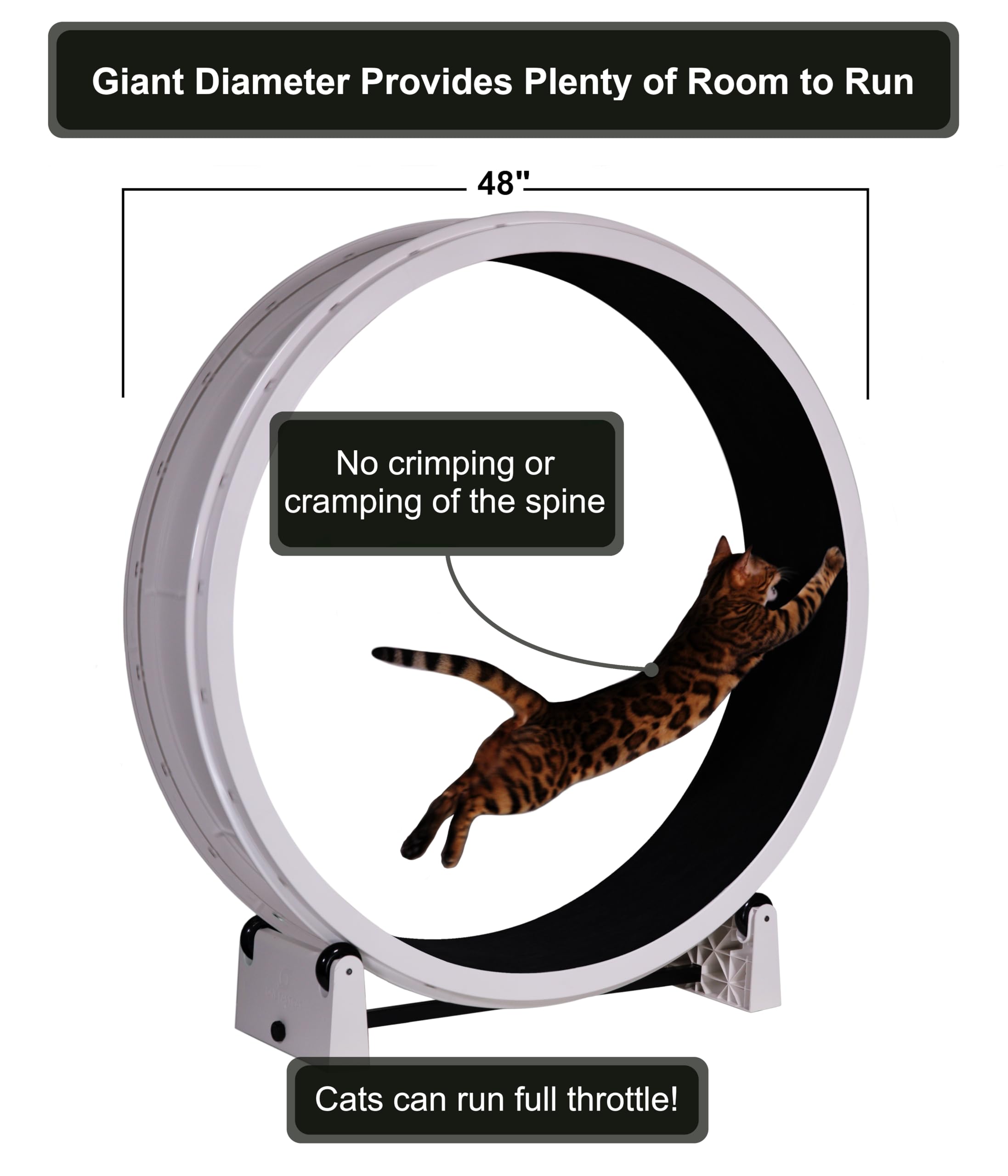 One Fast Cat - Cat Exercise Wheel - Made in the USA - 48