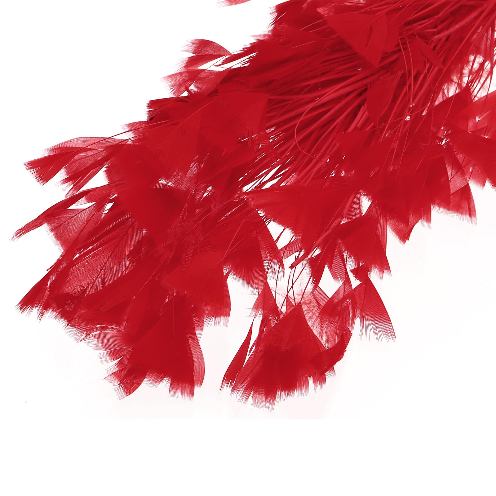 PATIKIL 10-12 Inch Turkey Feathers - Image 4