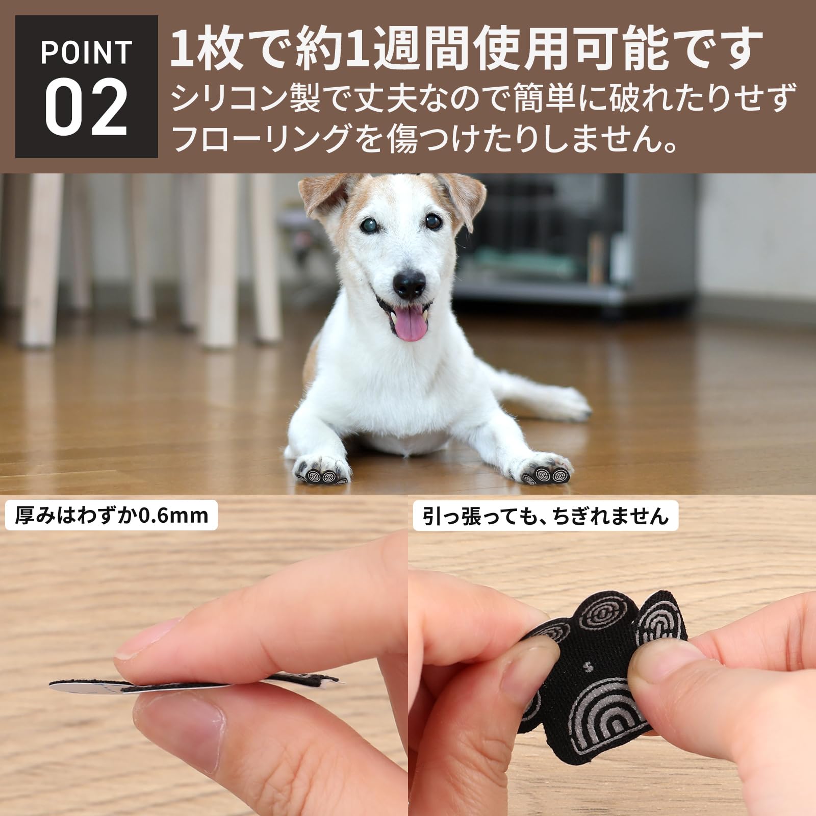 Amazon.co.jp: 株式会社アルタージュ 保護 犬 ペット パット シール