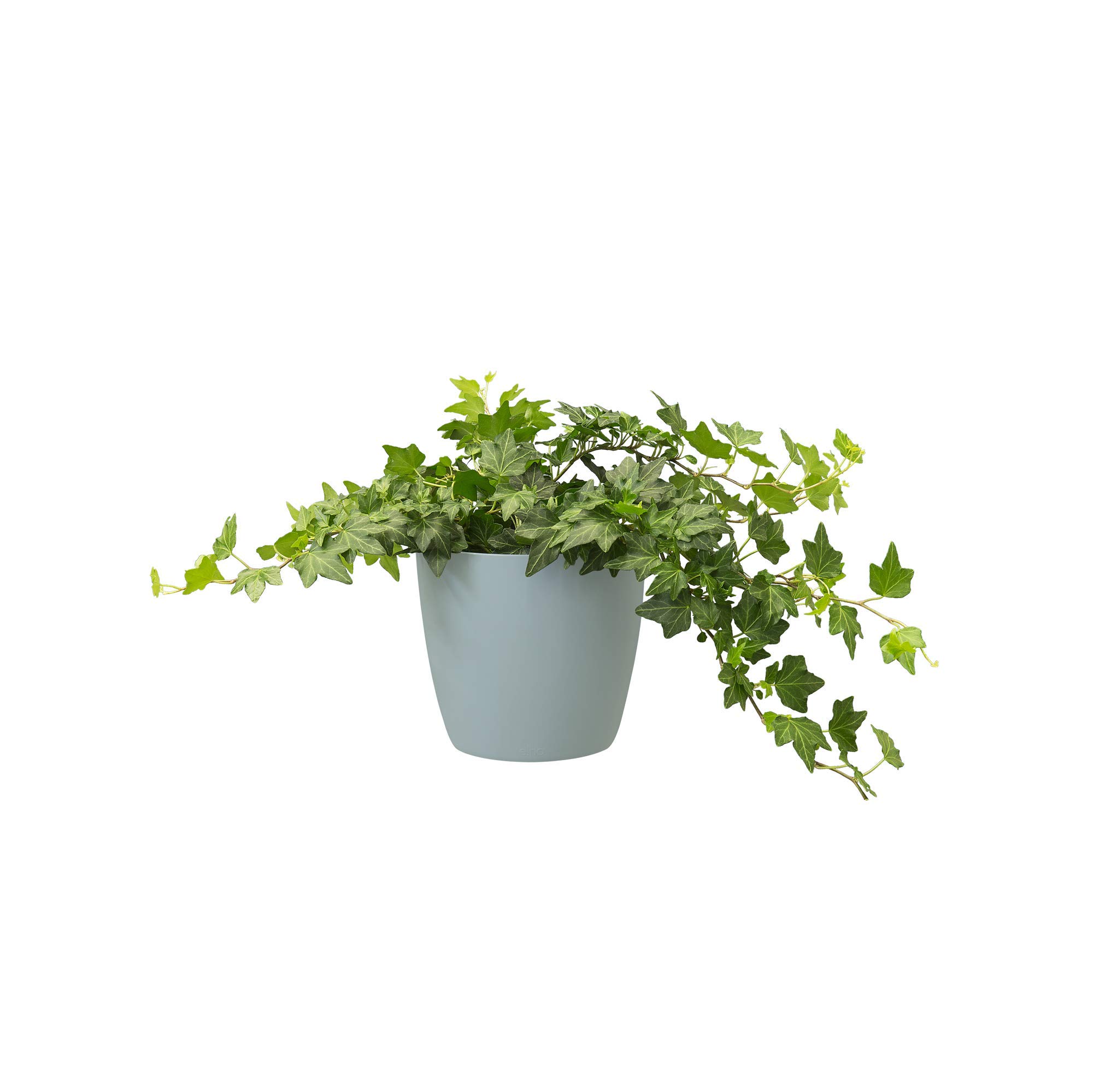 Elho Brussels Orchid 12.5 - Macetero por Interior - Ø 13.0 x H 11.5 cm - Negro/Anthracite — view 21