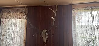 Review Image by Joe Lial Joe Lial