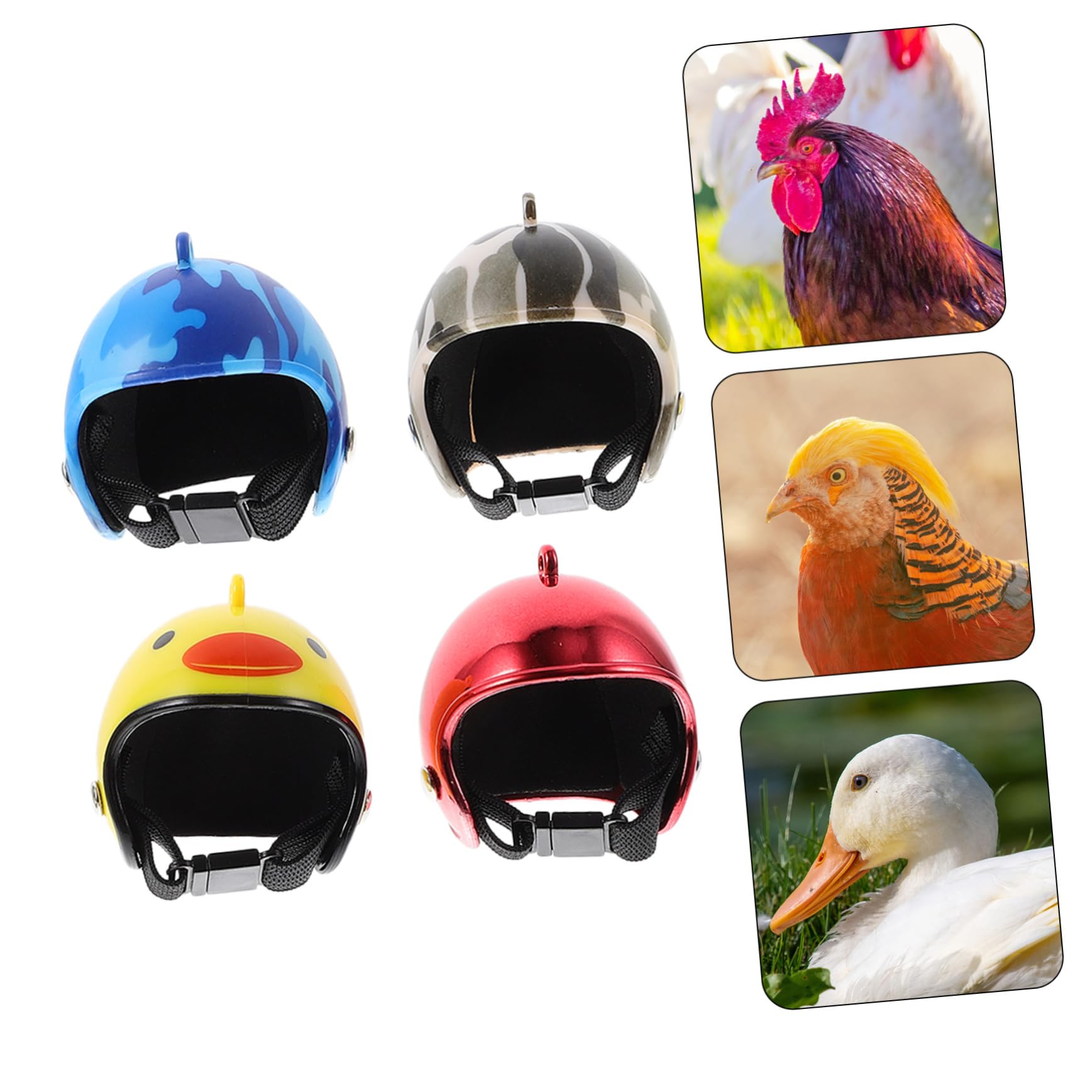 鳥の帽子 Amazon.co.jp: FUNOMOCYA 鶏用ヘルメット 鶏用帽子 鶏用