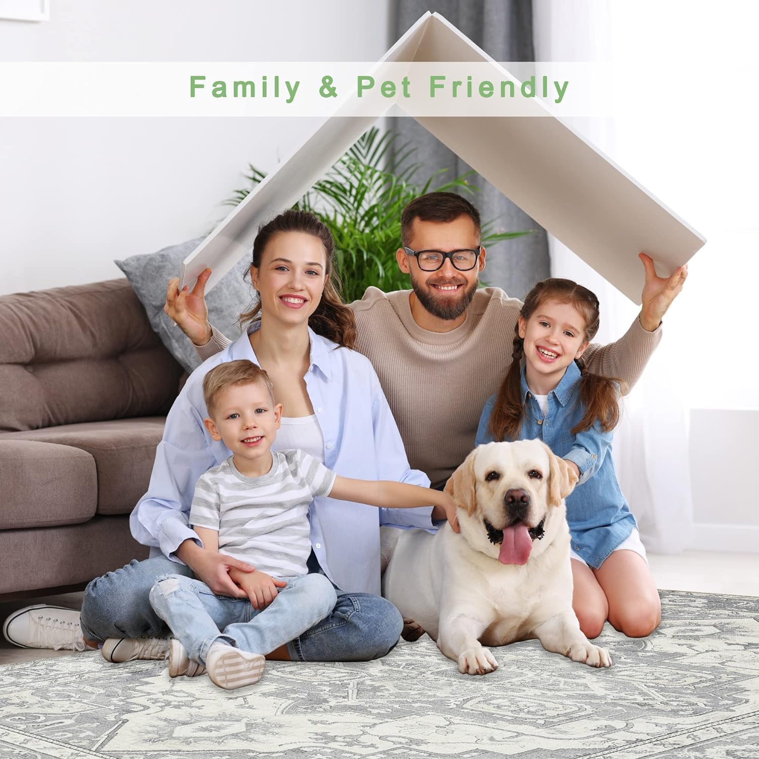 MaxRugrs 4x6 Area Rugs for Living Room Washable Stain Resistant Soft Thin Non Skid Rubber Backing- Bedroom & Dining Room - Large Floor Vintage Carpet -Family & Pet Friendly Rugs(4x6,Ivory Grey)