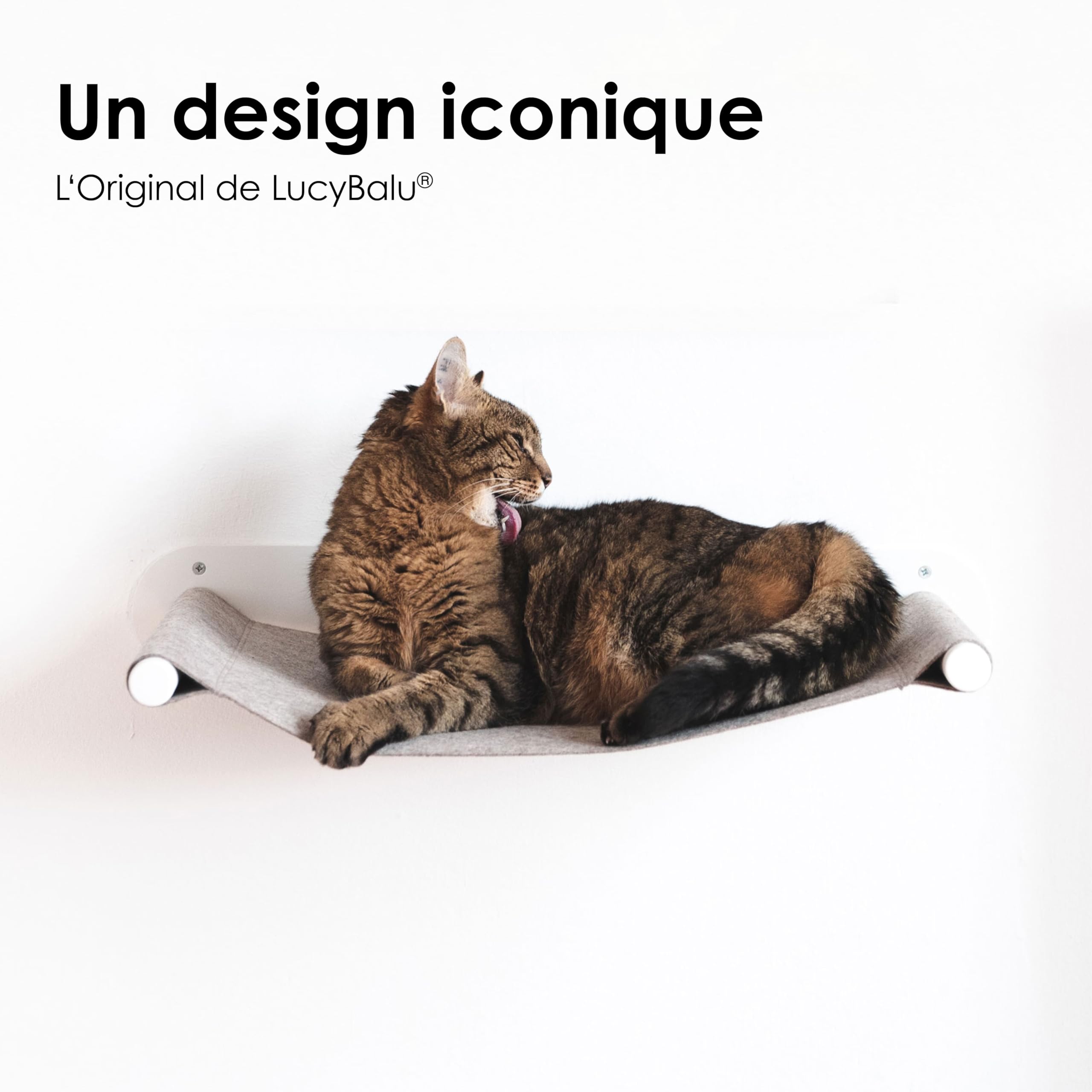 LucyBalu® Swing Hamac Mural pour Chat en Feutre Naturel I Blanc