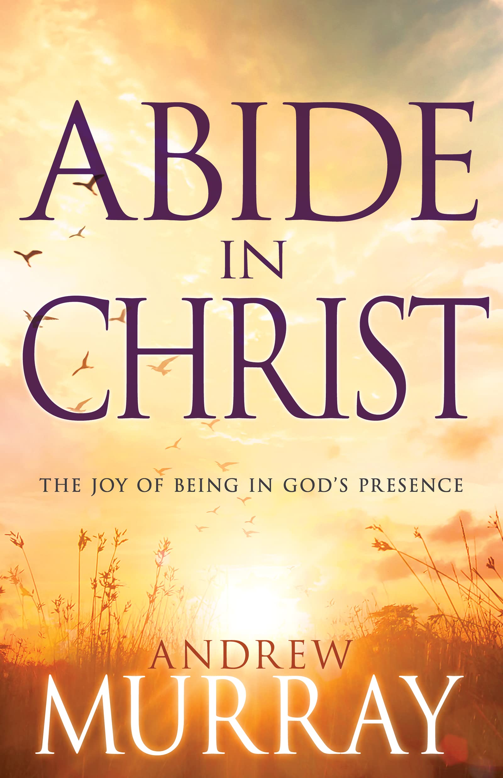 Abide in Christ: The Joy of Being in God's Presence Paperback – December 1, 2002