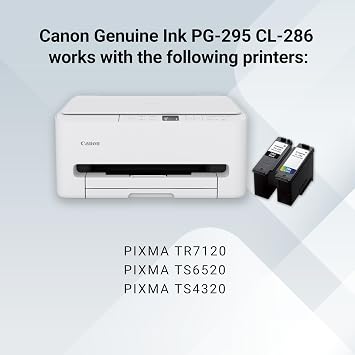 Canon PG-295 / CL-286 Genuine Ink Value Pack (2 Cartridges), Compatible with TR7120, TS6520, TS4320