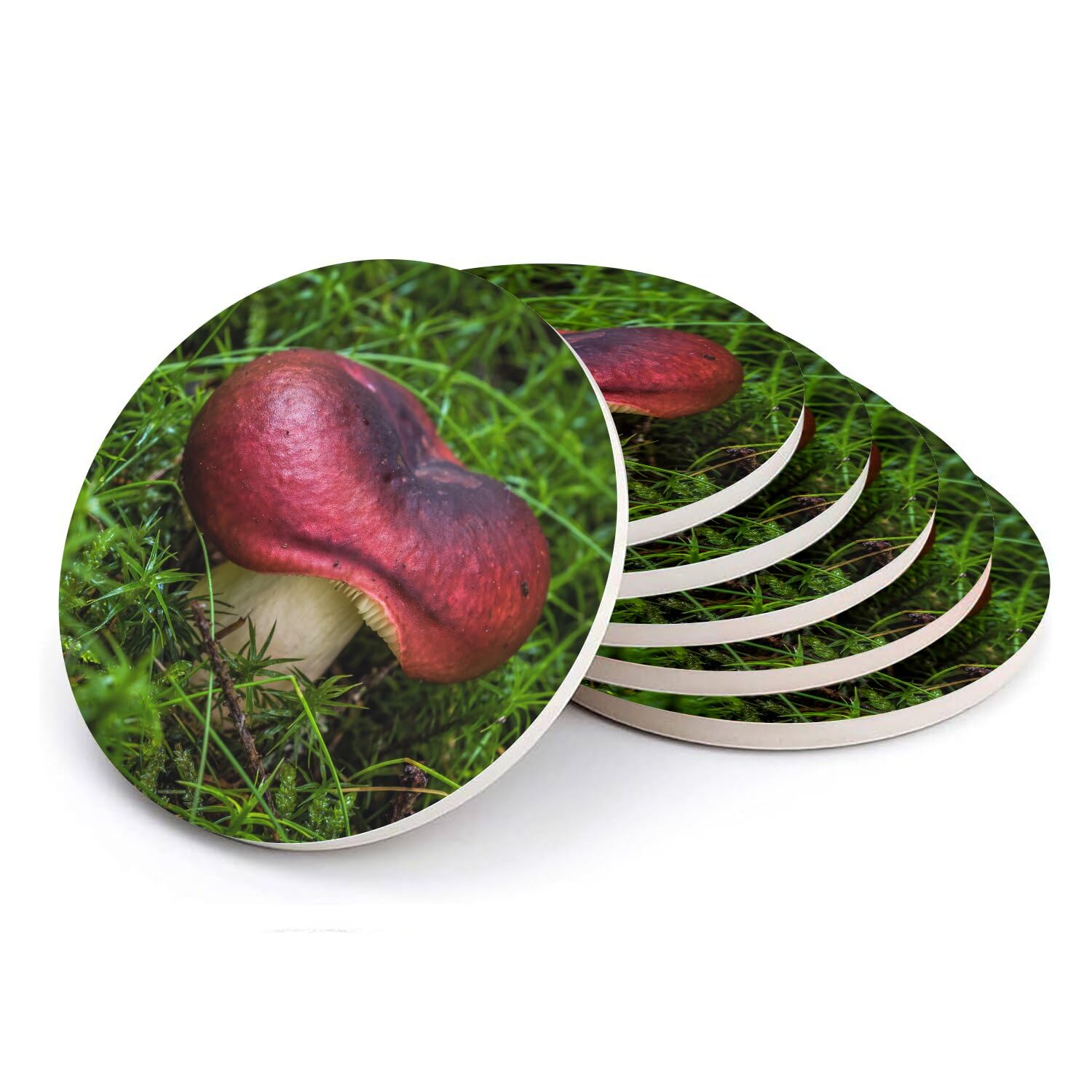Sous-verre ronds en céramique motif champignon forêt lot de 6 dessous-de-verre