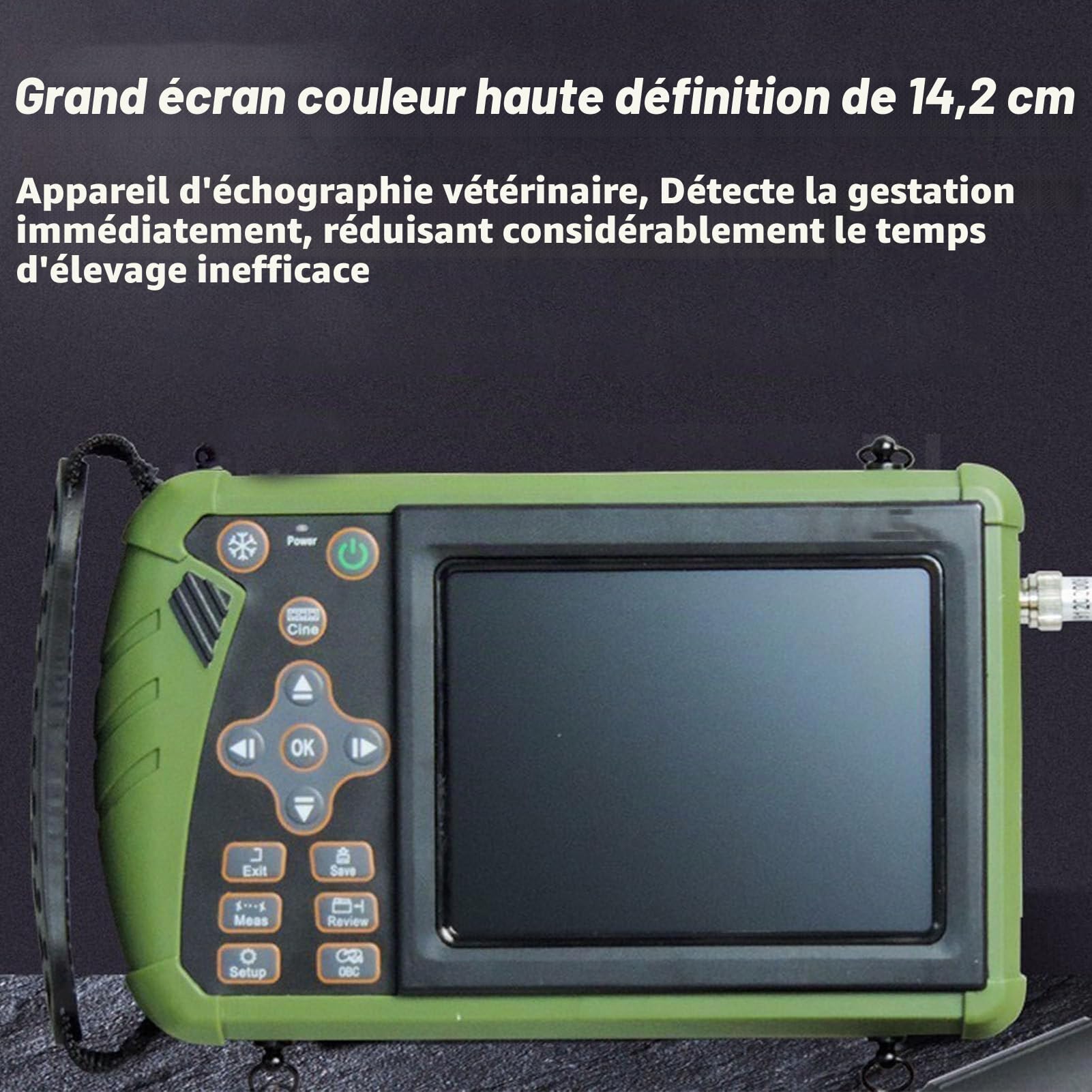 Appareil échographie Vétérinaire Portable Testeur De Grossesse À Ultrasons Multifonctionnel,avec Sonde 3,5 MHz,écran Couleur 5,6 Pouces,pour Porcs Et Moutons Et pour Test De Gestation