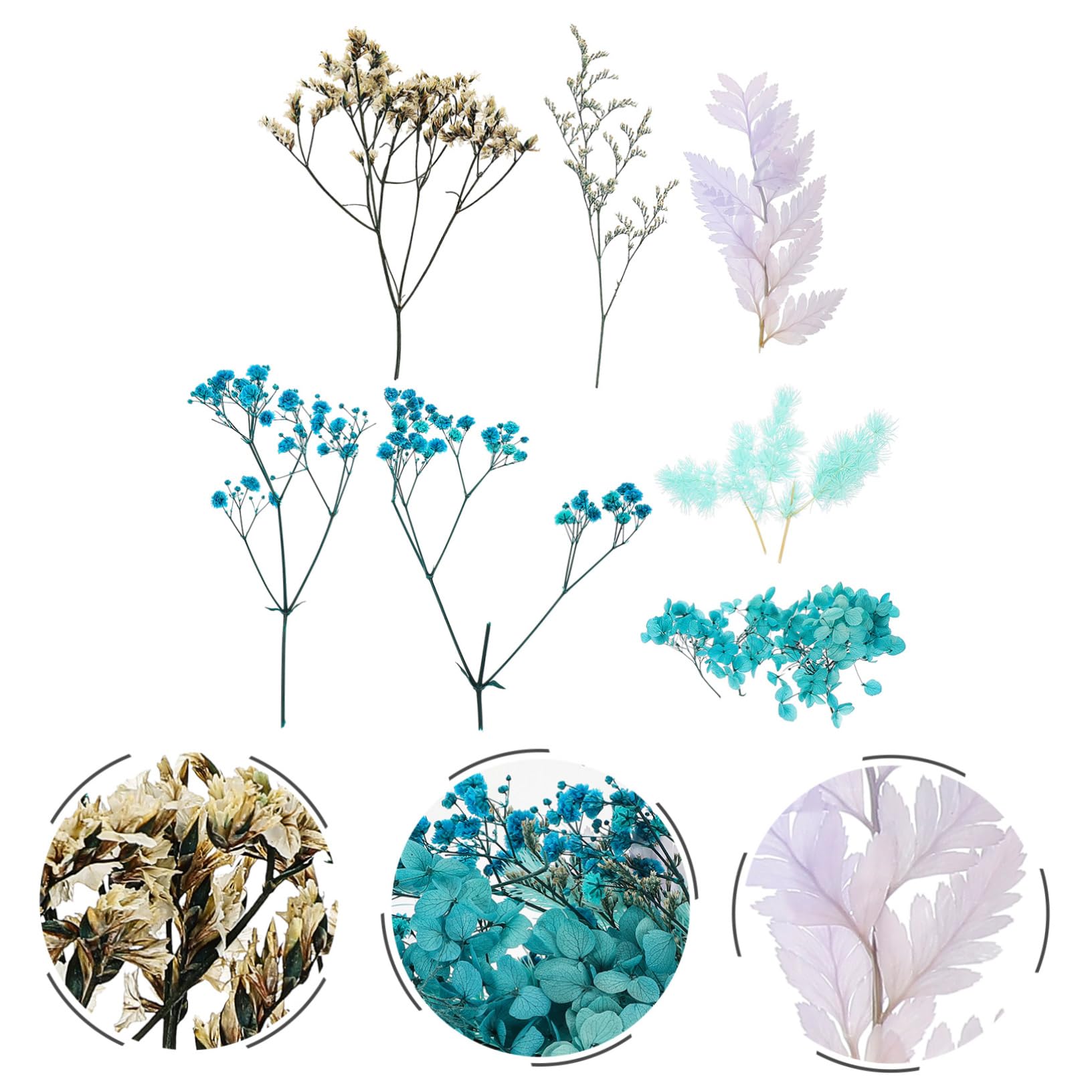 Abaodam Lot De 4 Fleurs Séchées Naturelles pour Projets Artisanaux Accessoires De Décoration Séchée Faits À La Main