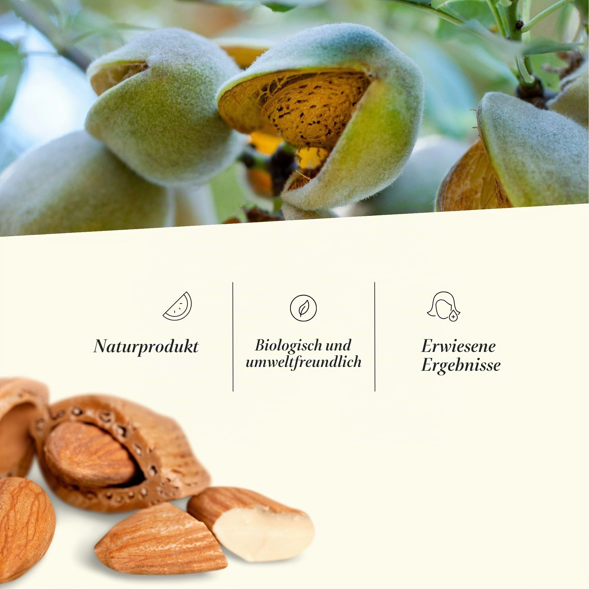 Mandelöl für Haut (Körper und Gesicht) und Haare, Anti Streifen in der Schwangerschaft, für Atopische Haut und Baby, Massageöl. Feuchtigkeitsspendend. Reich an Vitamin E. 100% Rein - 5000 ml 5 L