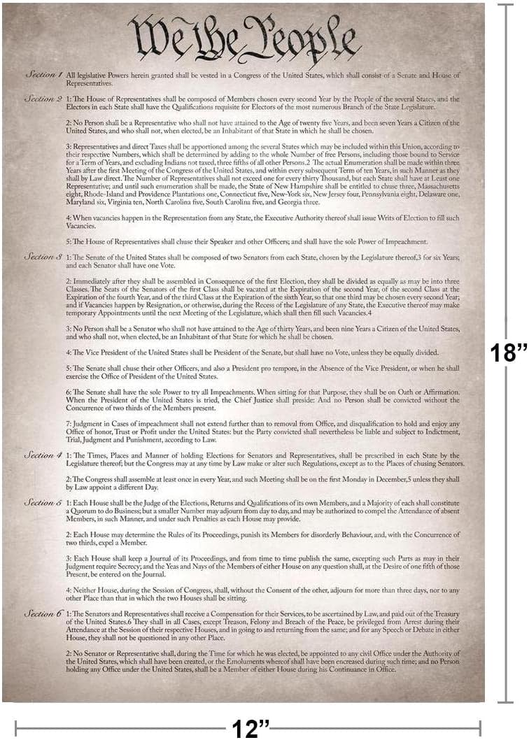 Constitution of The United States Poster US America History Readable Version For Classroom American Government Cool Wall Art Print Poster 12x18 image 3