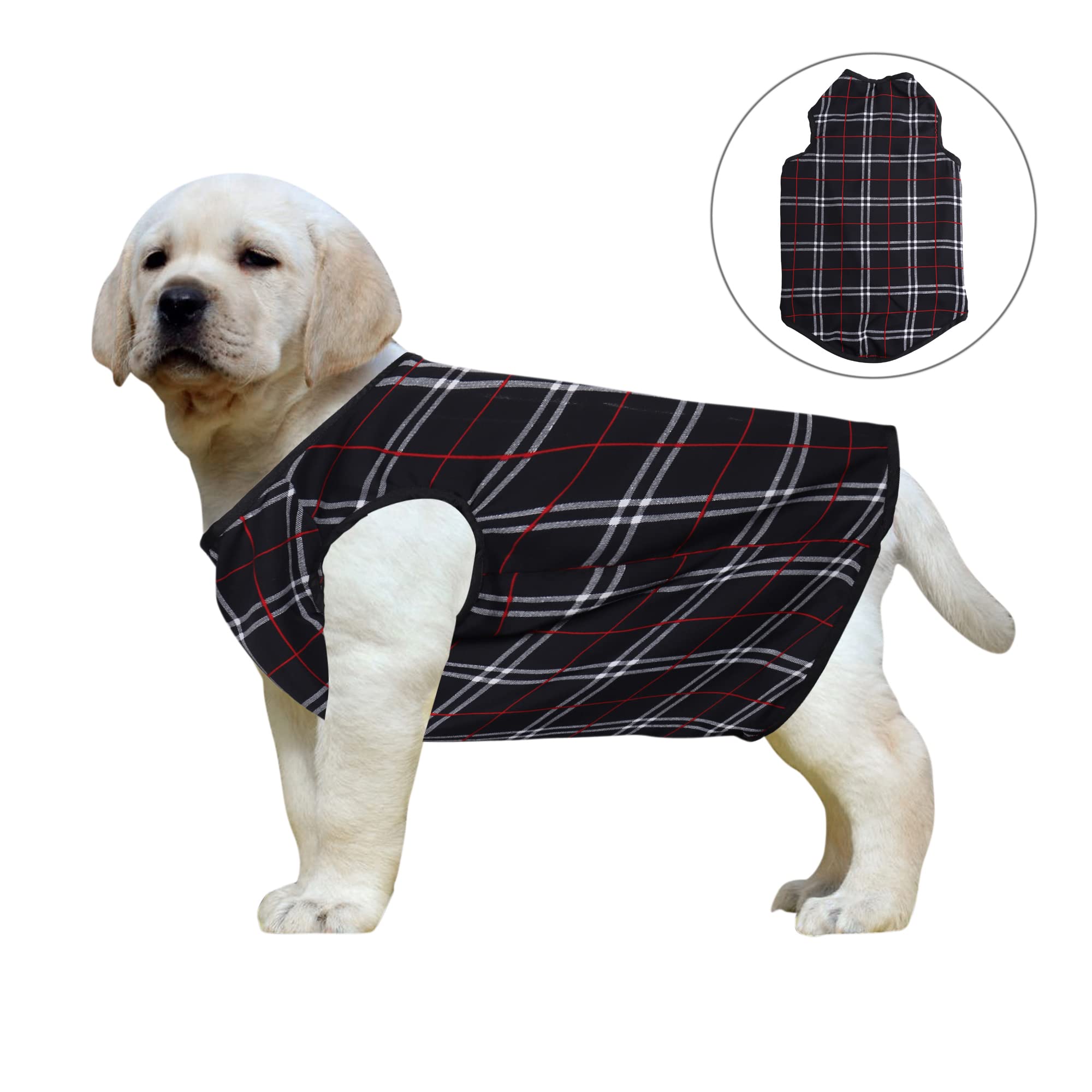 See full amazon price history chart for Western Era Funky Soft Cotton Dog T-Shirt | Comfortable & Breathable Dog Clothing | Sleeveless Vest Puppy Outfit |(Square Check Print) (XXLarge - 28inches) Western Era Funky Soft Cotton Dog T-Shirt | Comfortable & Breathable Dog Clothing | Sleeveless Vest Puppy Outfit |(Square Check Print) (XXLarge - 28inches) (B09WTH4KKD) Amazon Price History, Amazon Price Tracker