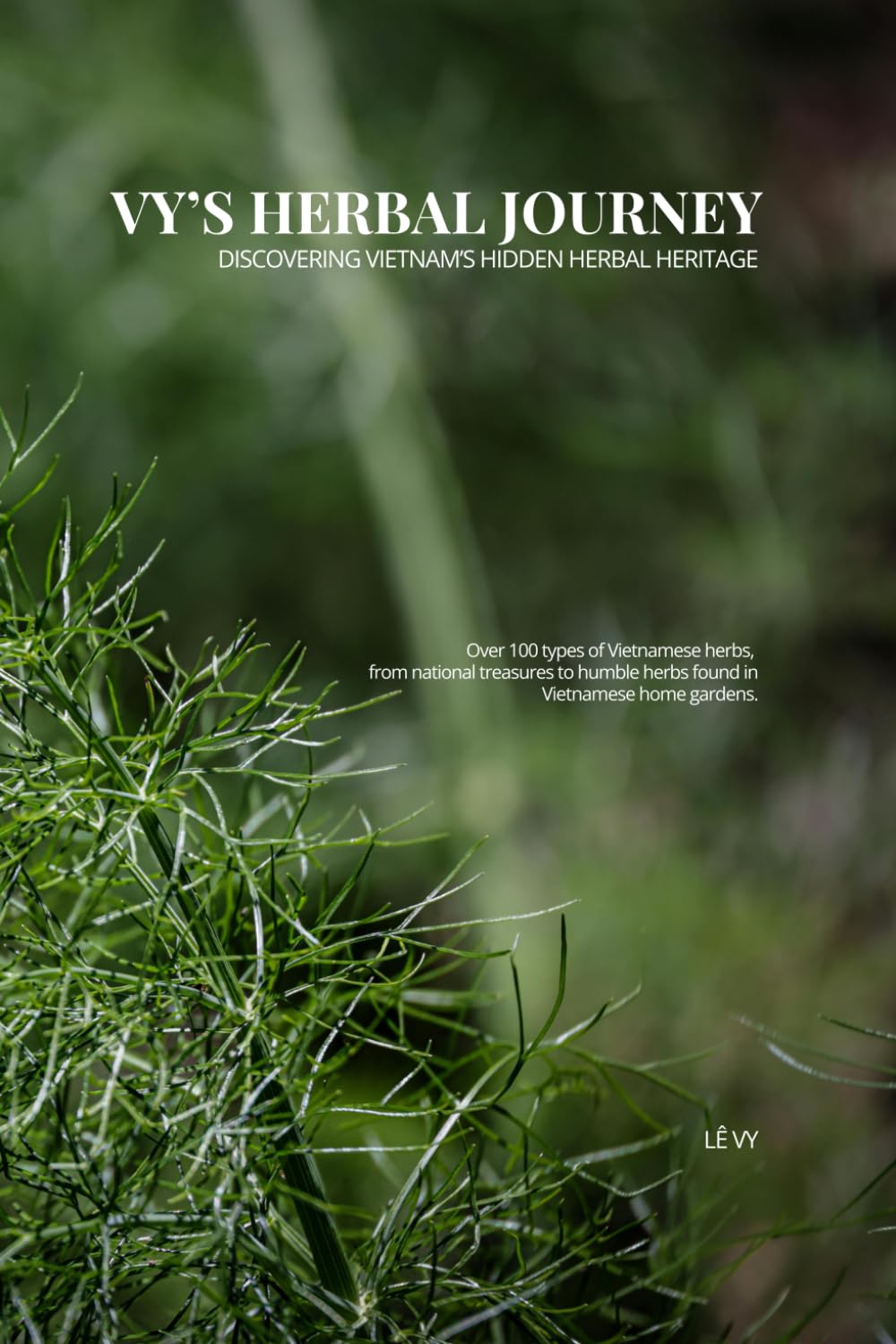 VY’S HERBAL JOURNEY: Discovering Vietnam’s Hidden Herbal Heritage