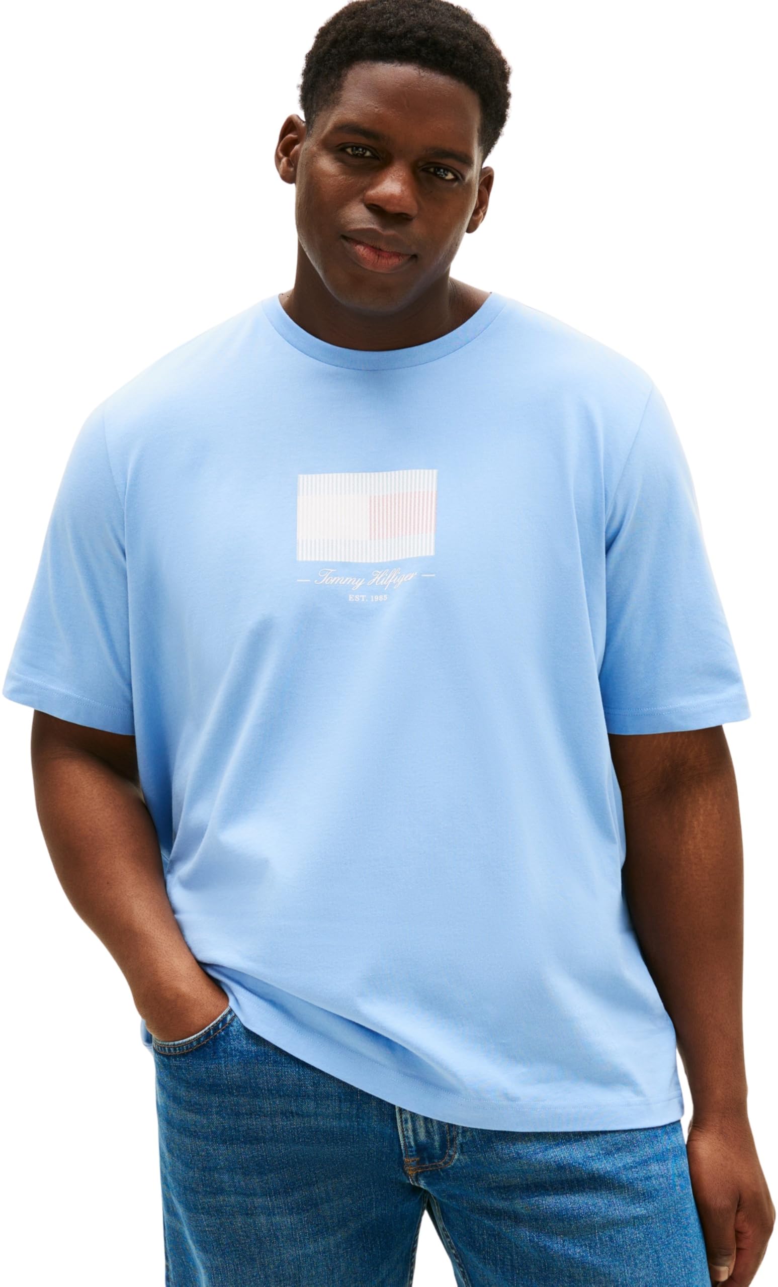 Tommy Hilfiger Men’s Short Sleeve Regular Fit Flag T-Shirt, Blue (Cloudy Blue), 5XL