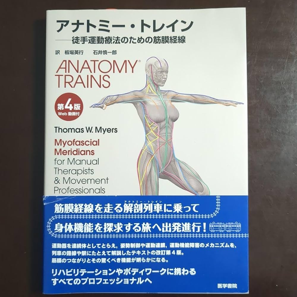 Amazon.co.jp: アナトミートレイン : 徒手運動療法のための筋膜経線