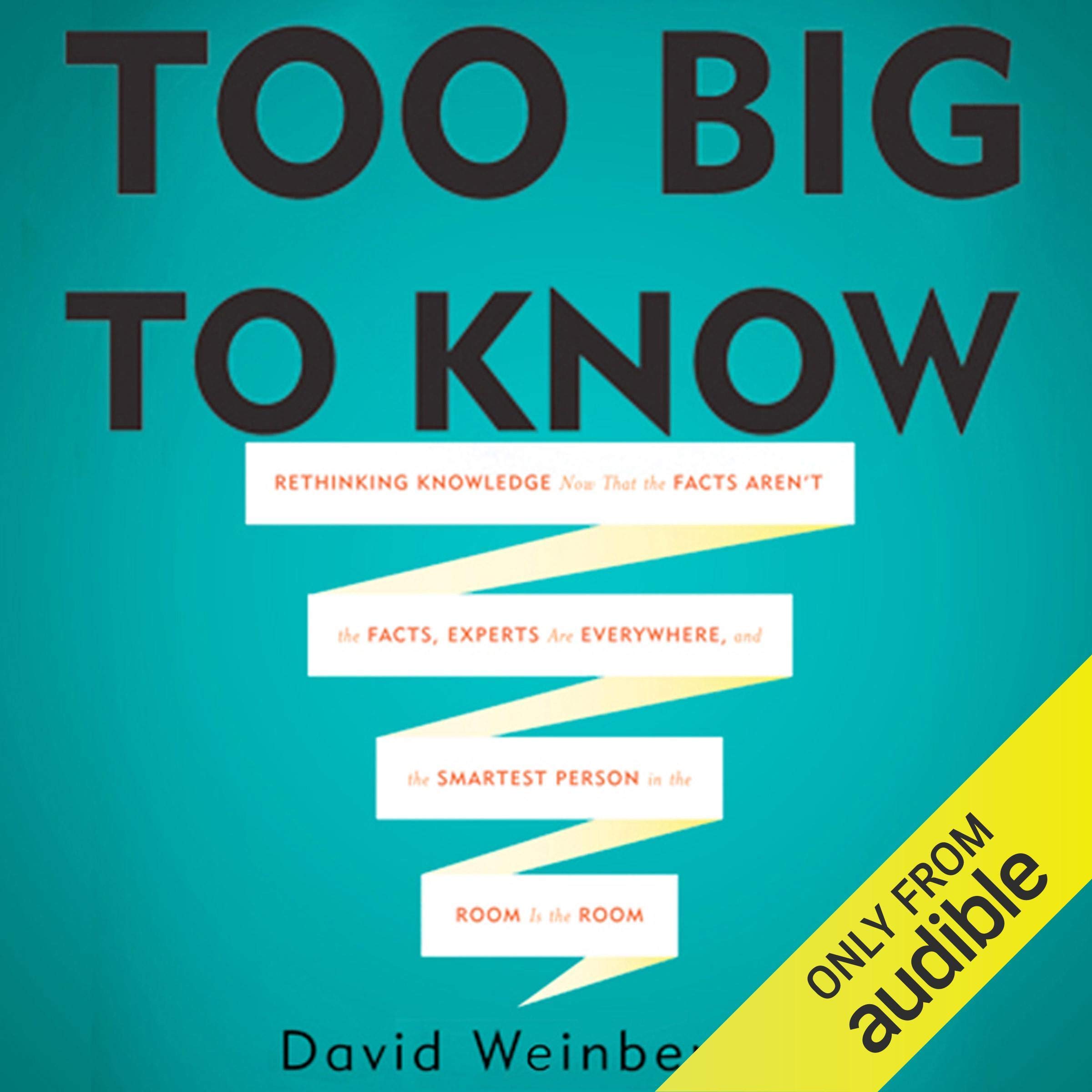 Cover art for Too Big To Know